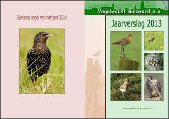 jaarverslag_2013_(website).pdf